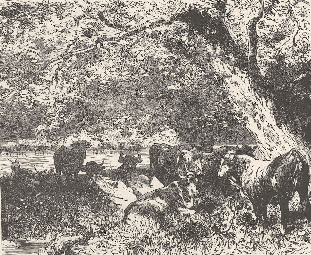 SWITZERLAND. Sunny Idyl by Flimser Lake 1903 old antique vintage print picture